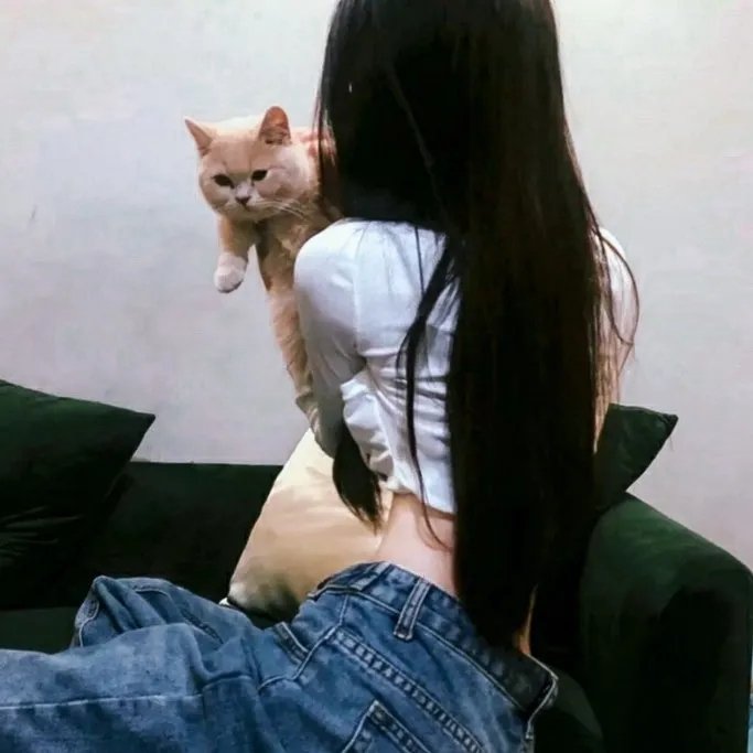热播精选